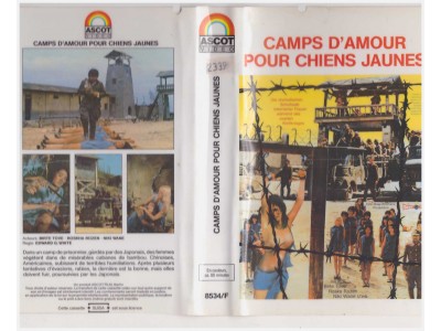 Camps D´amour Pour Chiens Jaunes 